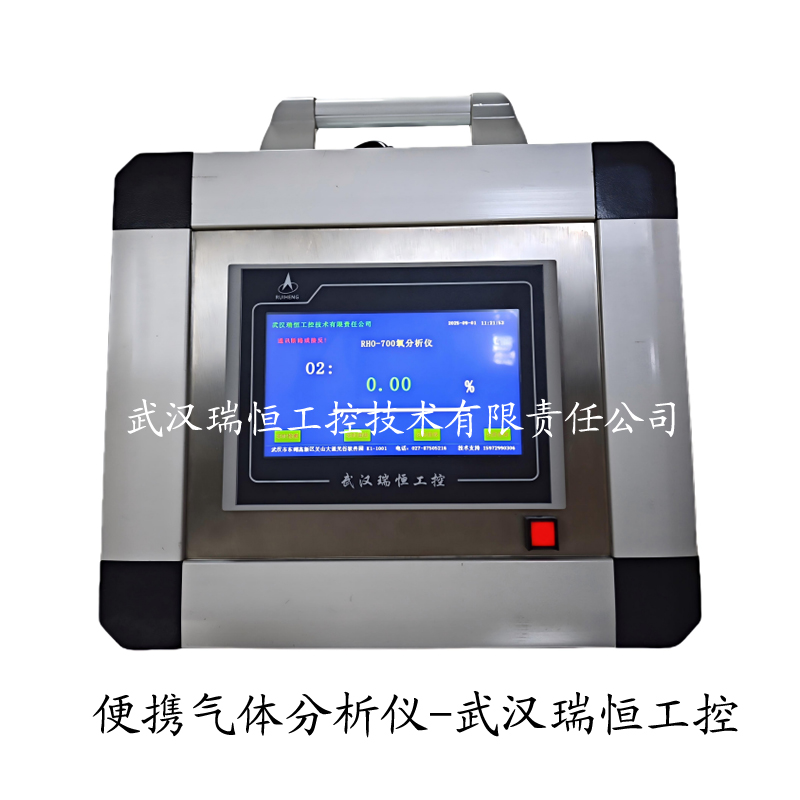 焚烧炉氧分析仪